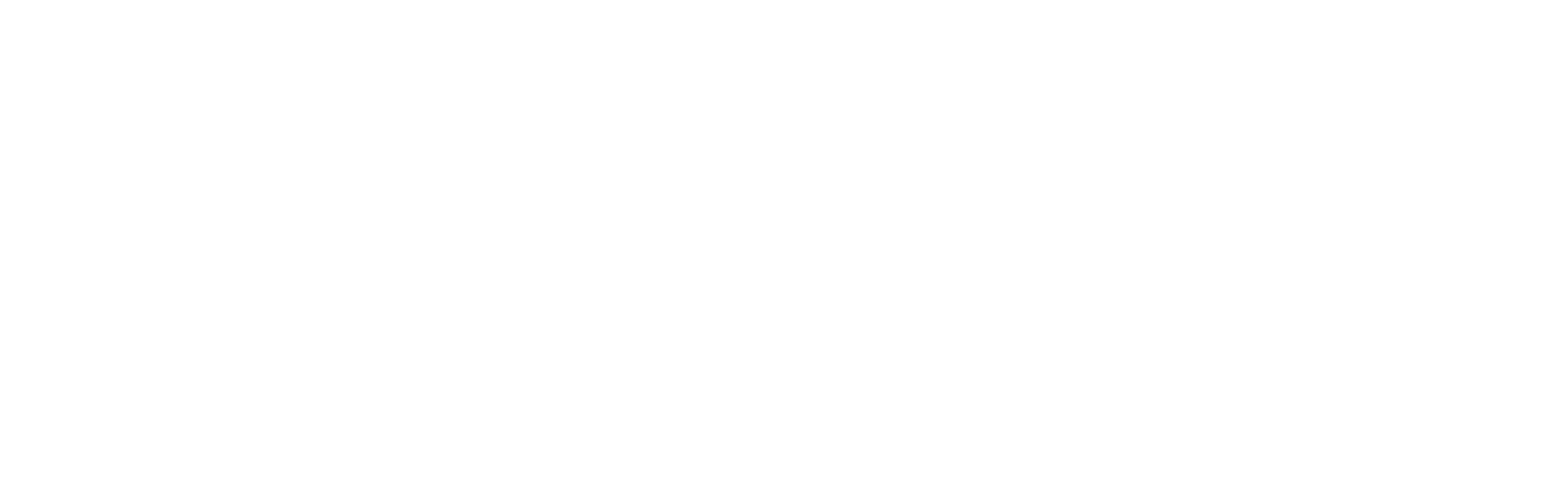 Bauzone Logo